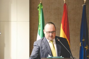 IMG_2241