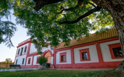 Traumatólogos, Fisioterapeutas y Podólogos Tratan en La Rinconada Nuevas Técnicas para Deportistas