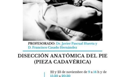 Curso de Disección Anatómica del Pie (pieza cadavérica)