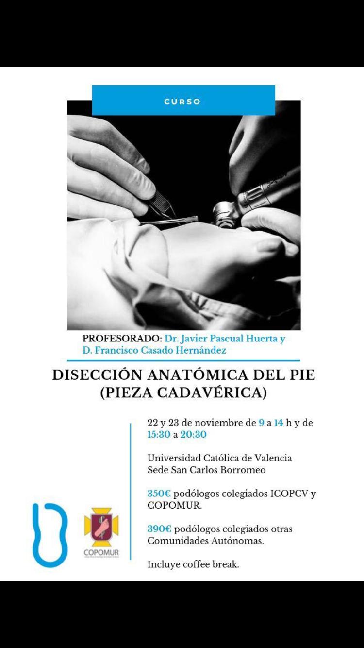 Curso de Disección Anatómica del Pie (pieza cadavérica)