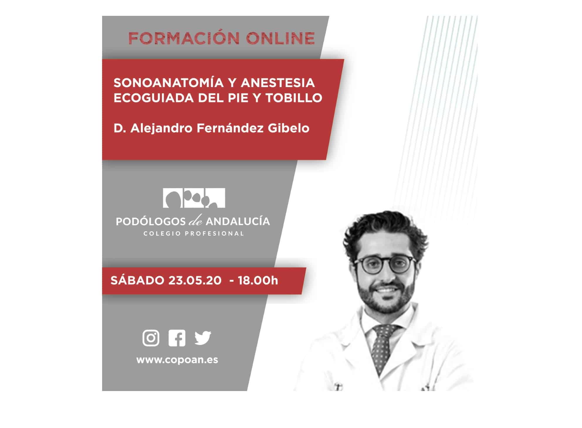 Formación On line – Sonoanatomía y Anestesia Ecoguiada del Pie y Tobillo