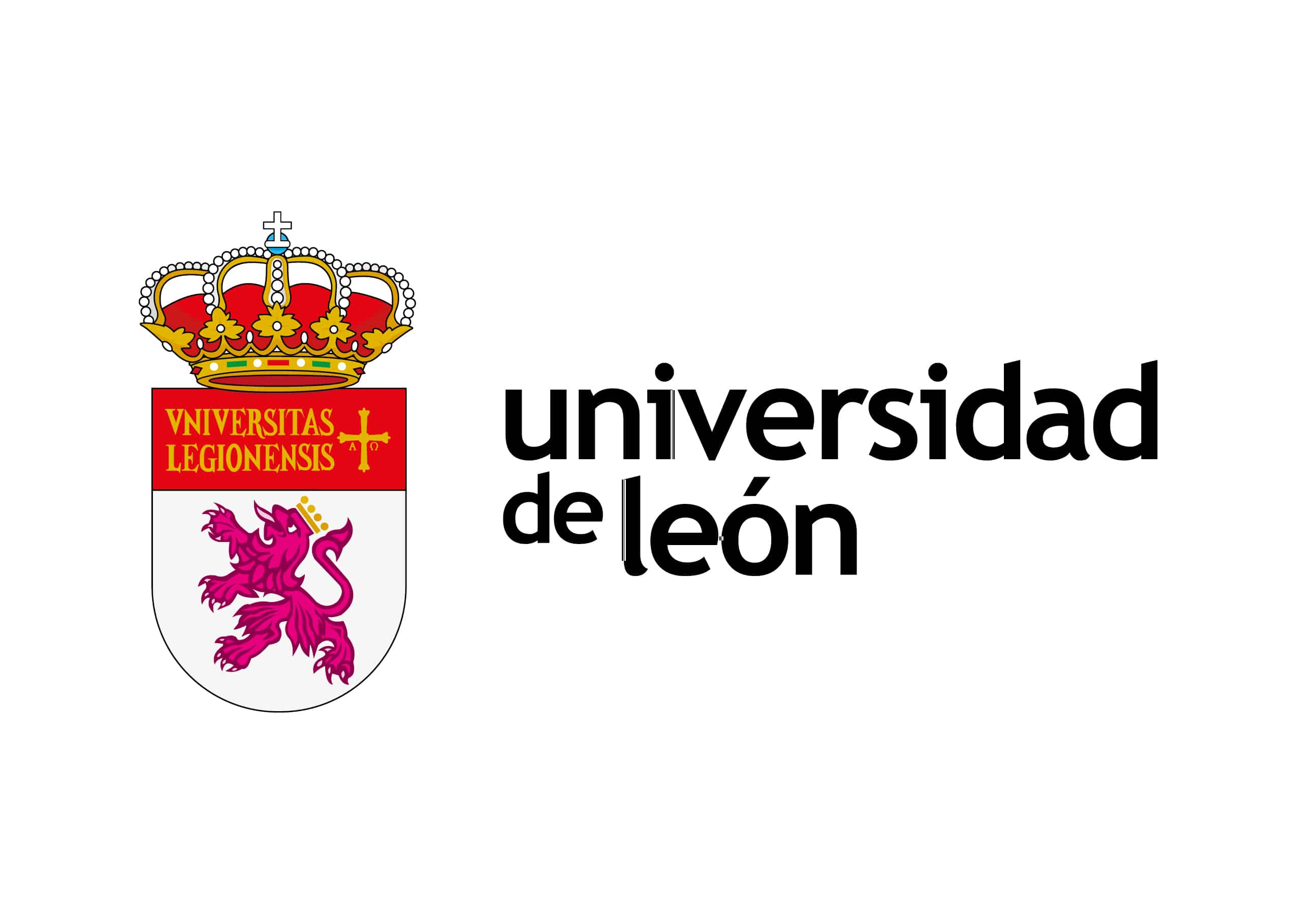 Cirugía en patología digito-metatarsal mediante técnica MIS
