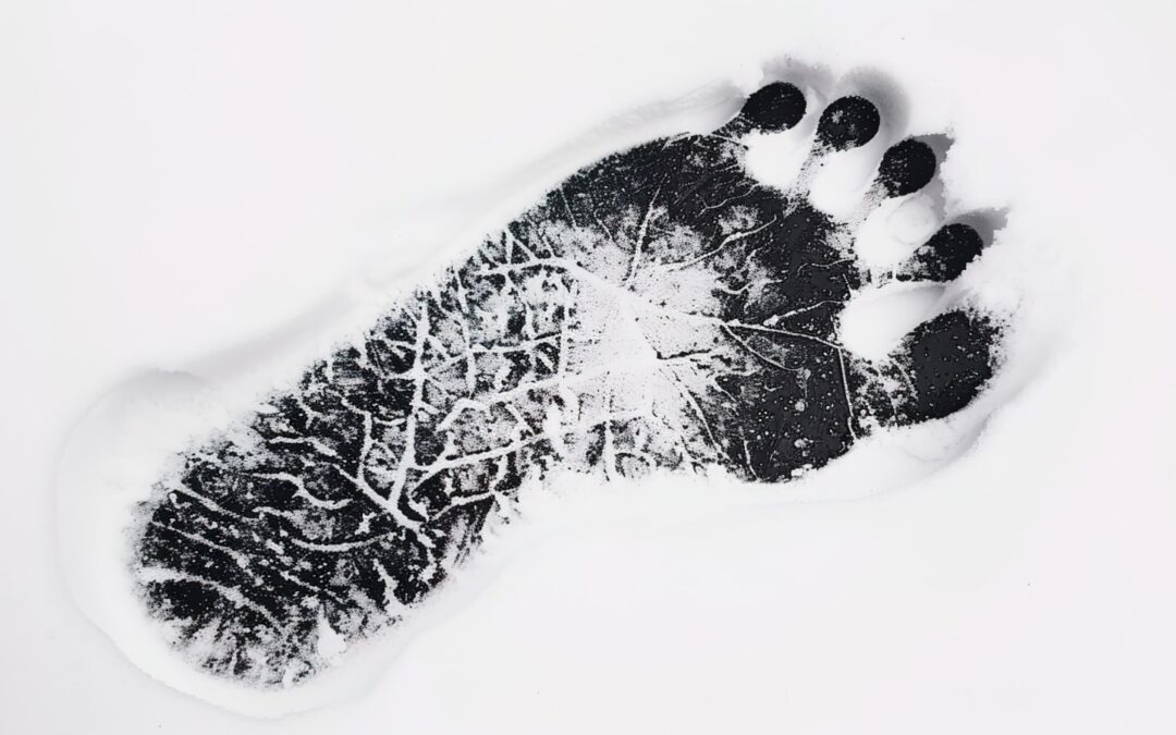 El valor de la Podología en la investigación forense
