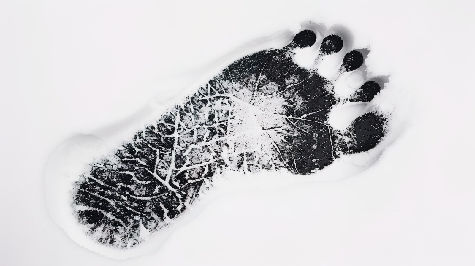 El valor de la Podología en la investigación forense